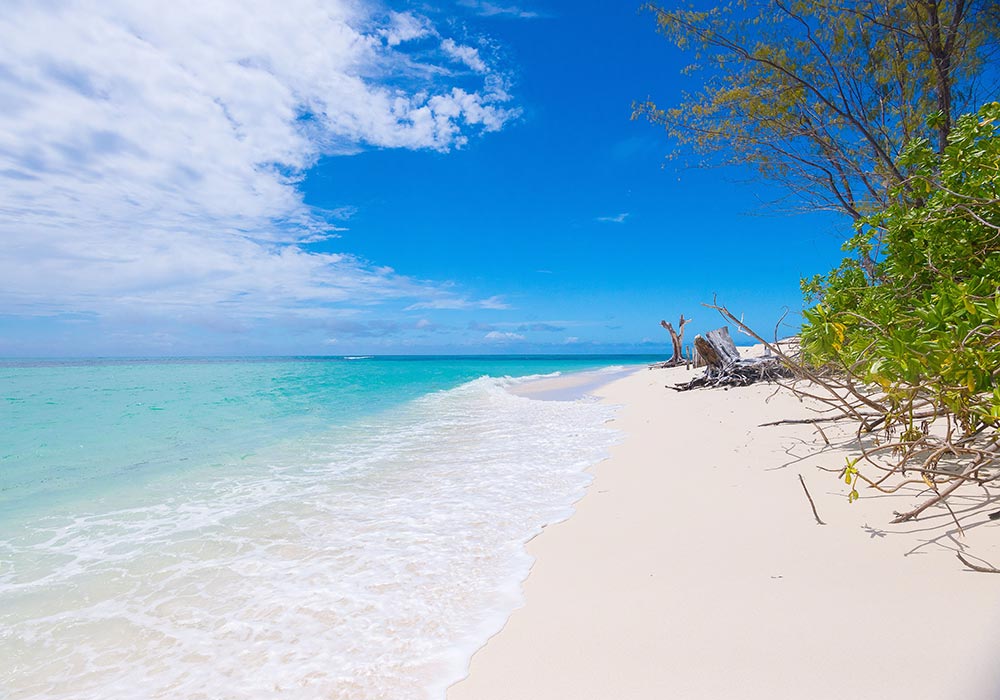 Denis Private Island. Seychellerna