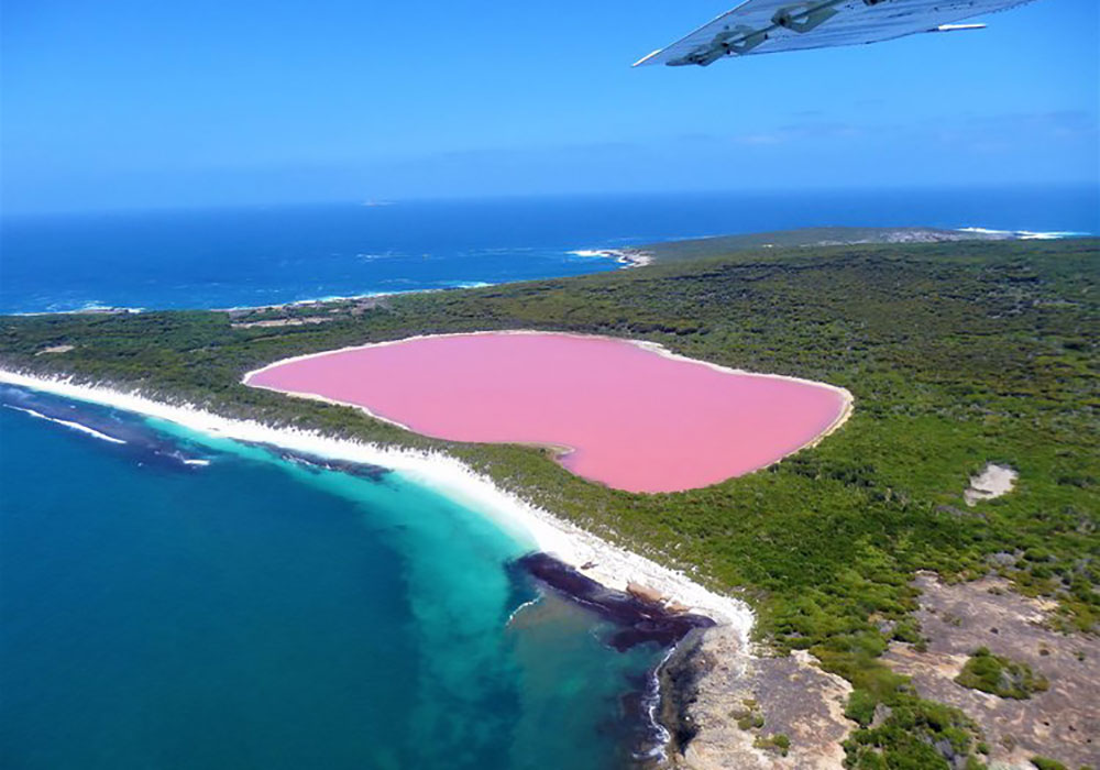 Pink Lake, Västra Australien