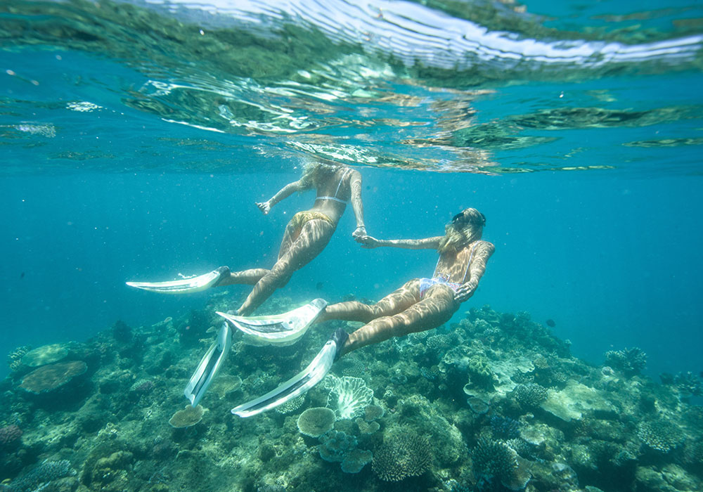 Adrenalin Dive and Snorkel at Lodestone Reef, Great Barrier Reef QLD.  Bild: Townsville Enterpris Tid