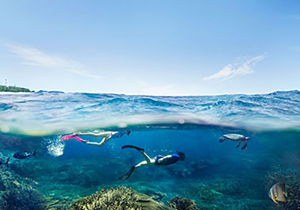 _Lady Elliott underwater. Bild: Tourism Australia