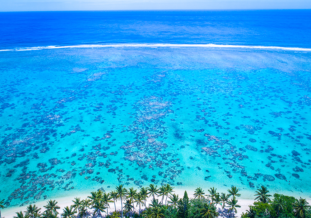 Cooköarna. Palm strand