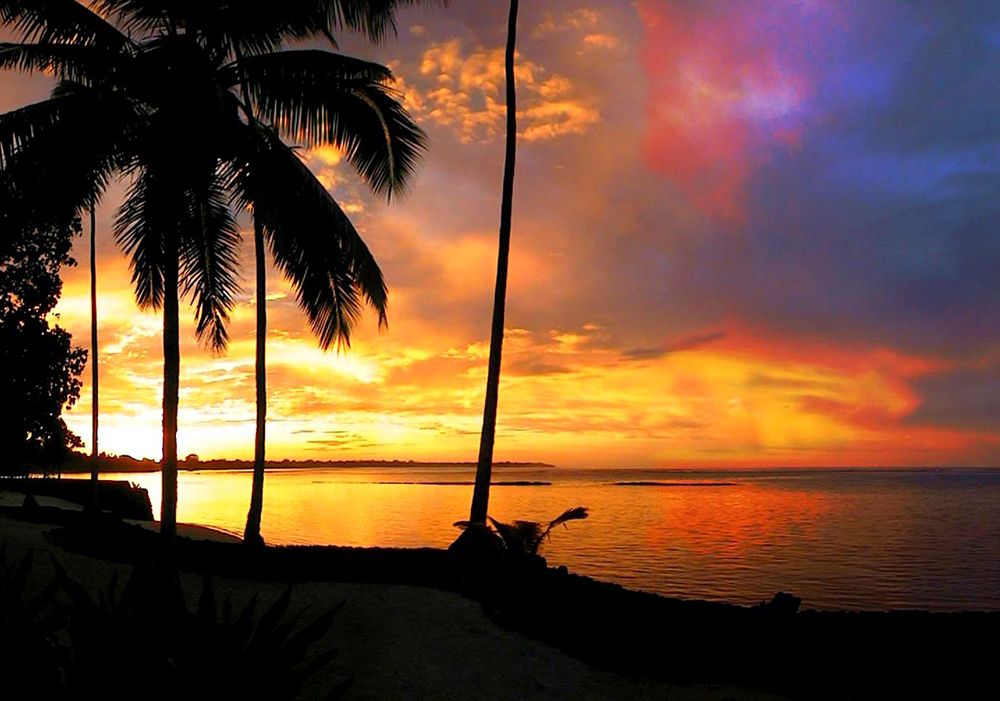 Samoa. Coconuts Sunrise