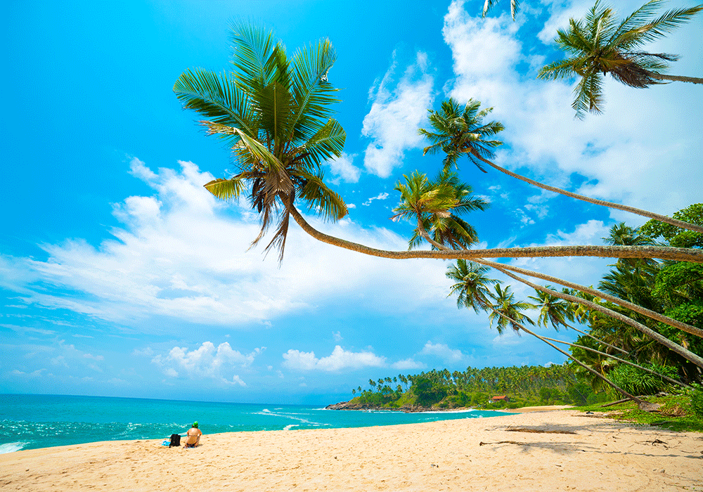 Sri Lanka. Tropical beach in Sri Lanka