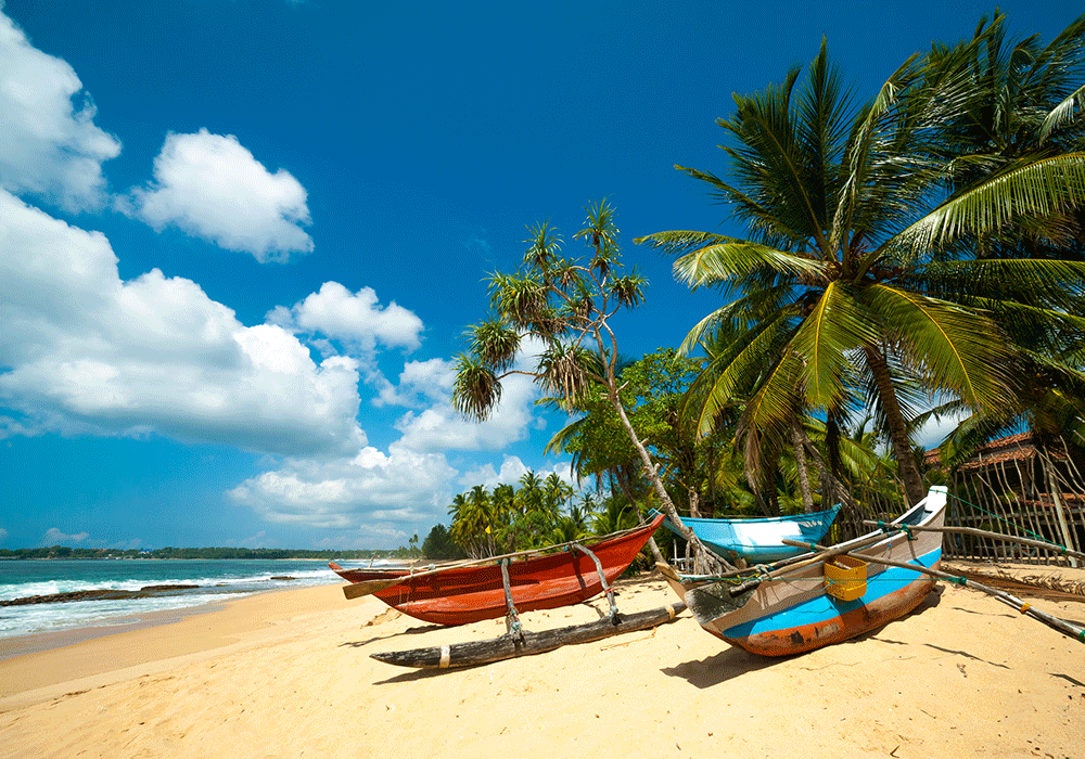 Sri Lanka. Untouched tropical beach with palms and fishing boats